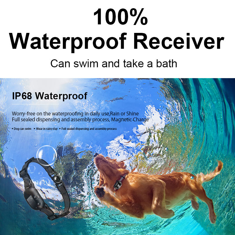 T200 Remote Training Collar waterproof receiver shown with dog swimming underwater