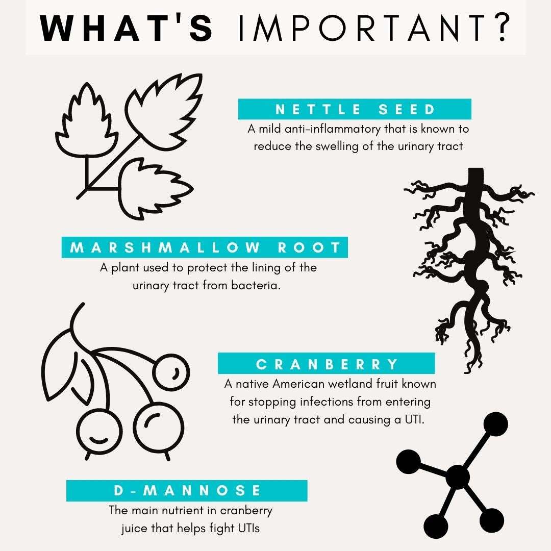 PetzPark Urinary and Kidney supplement for dogs with natural ingredients like nettle seed, marshmallow root, cranberry, and d-mannose to support urinary tract and kidney health.