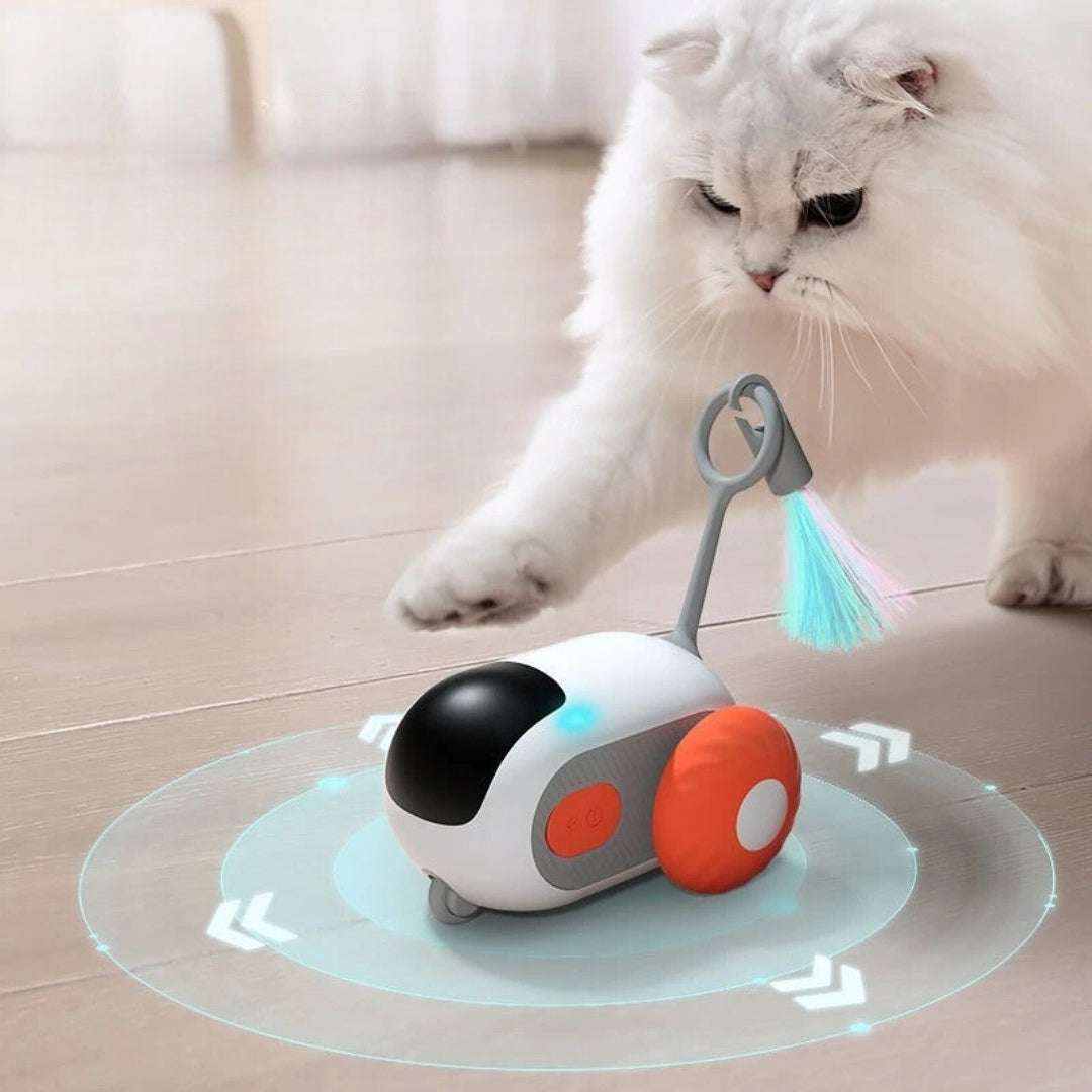 white cat playing with remote control sports car cat toy with USB rechargeable feature
