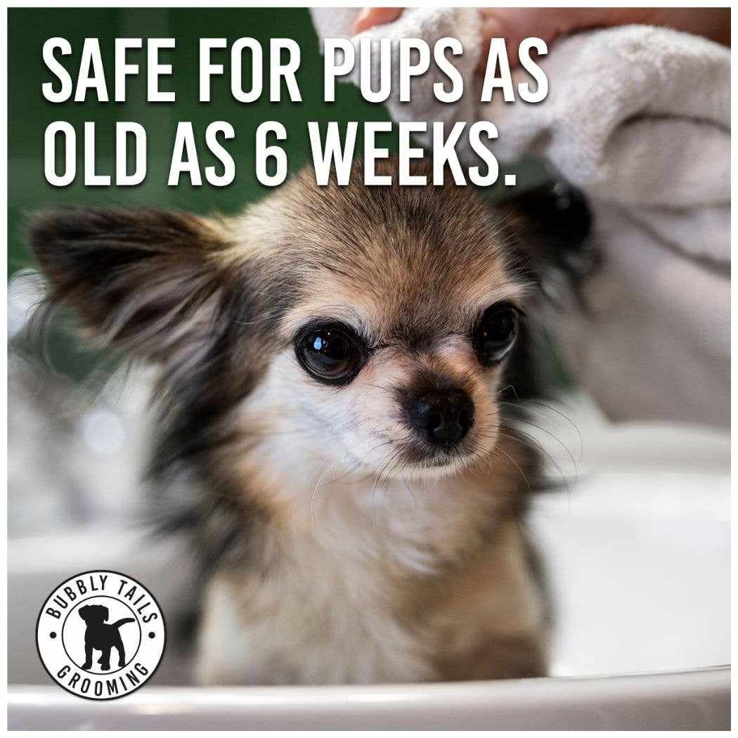 HugglePets Bubbly Tails Dog Cologne safe for puppies as young as 6 weeks with odour-destroying, paraben-free formula and aloe vera for a fresh and healthy coat