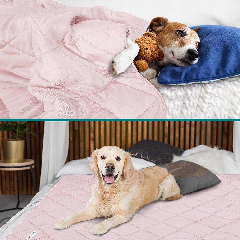 Cooling pet dog blanket with soft fabric for comfort and temperature regulation