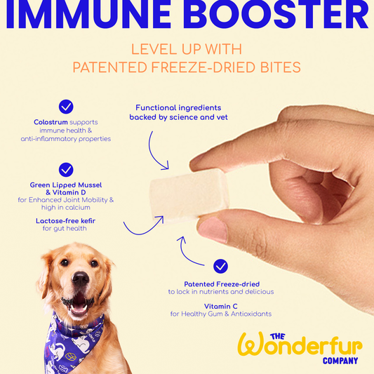 Hand holding a freeze-dried Wonderfur Bites dog treat with a golden retriever wearing a bandana and text highlighting immune-boosting ingredients like colostrum, green-lipped mussel, vitamin D, and patented freeze-drying process
