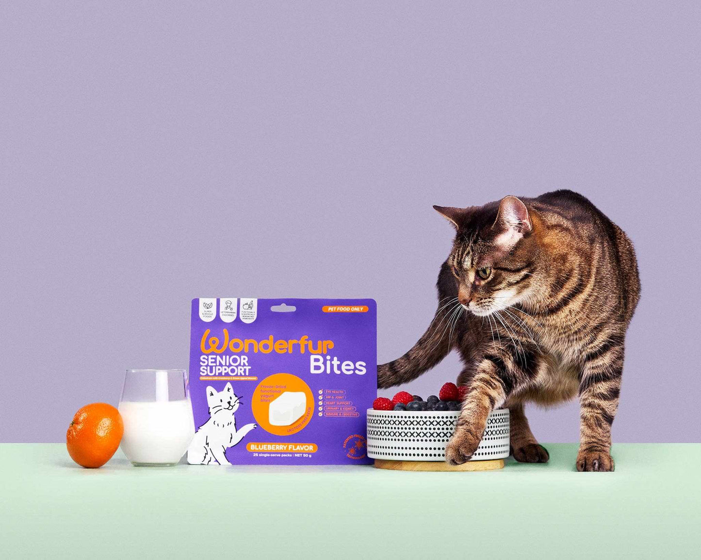 Wonderfur Bites Senior Support for Cats with Blueberry Flavor packaging near a cat and fruits.