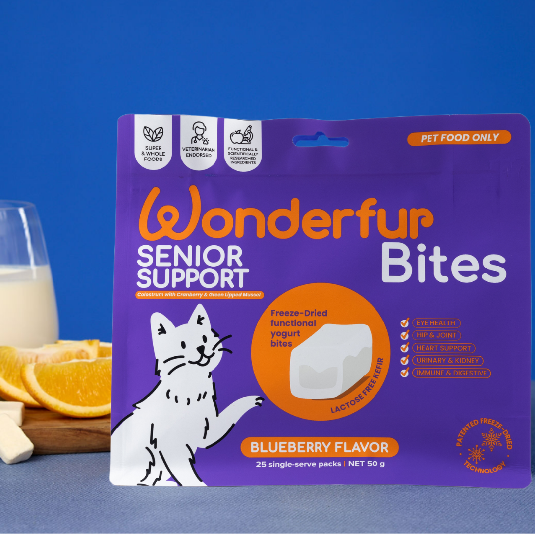 Whats New Cat Accessories