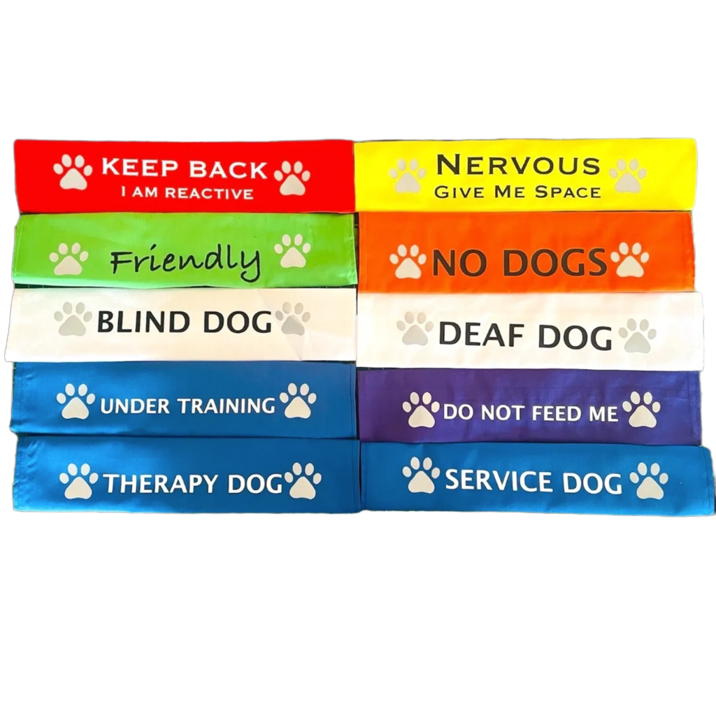 Colorful lead slips for dogs with safety messages like reactive, nervous, blind, deaf, friendly, under training, therapy, and service dog tags