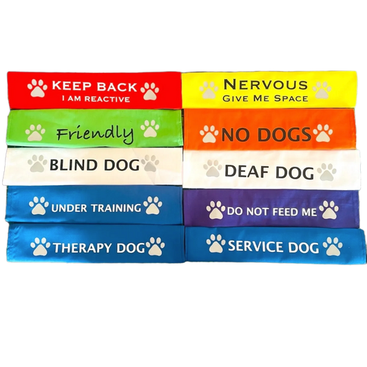 Colorful lead slips for dogs with safety messages like reactive, nervous, blind, deaf, friendly, under training, therapy, and service dog tags