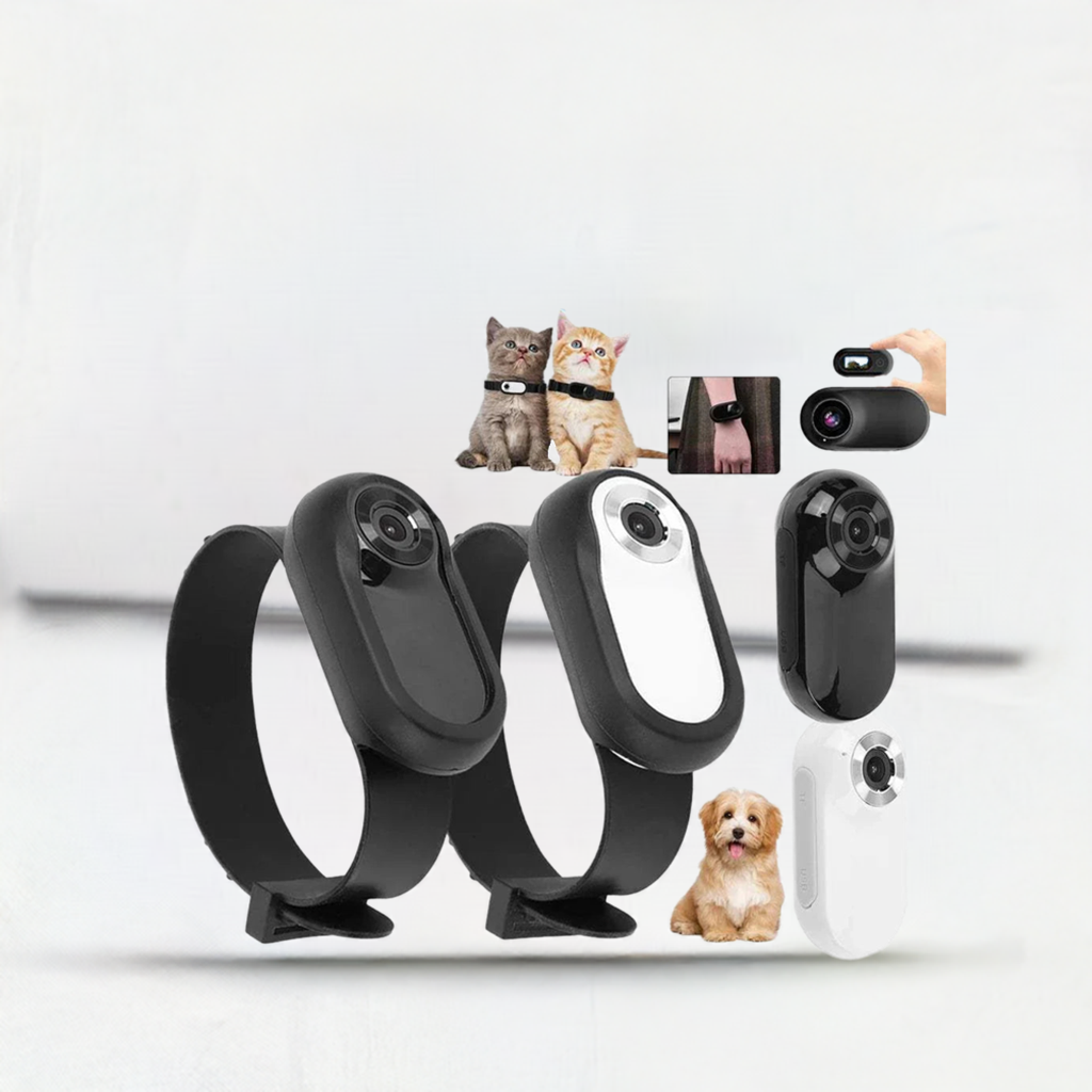 Camera collars for dogs and cats