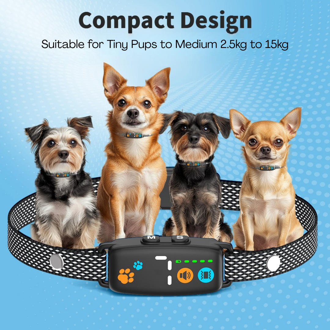 tiny anti-barking beep and vibrate no-shock collar for small dogs