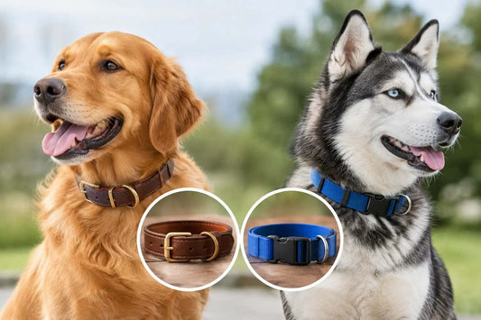 Leather Versus Nylon Collars: Which Suits Your Dog?