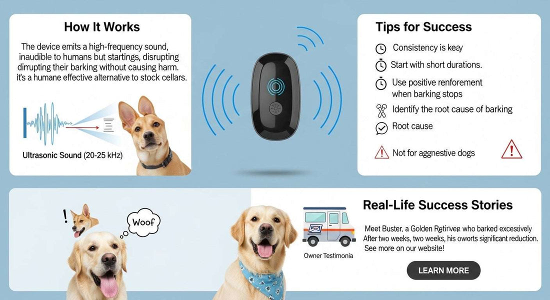 The Ultimate Guide to Ultrasonic Dog Trainers: How an Anti Bark Device Can Help You and Your Pet - Anti Bark Device