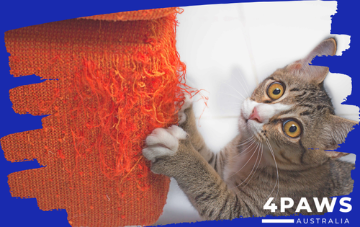 Cat Scratch Deterrent Tape