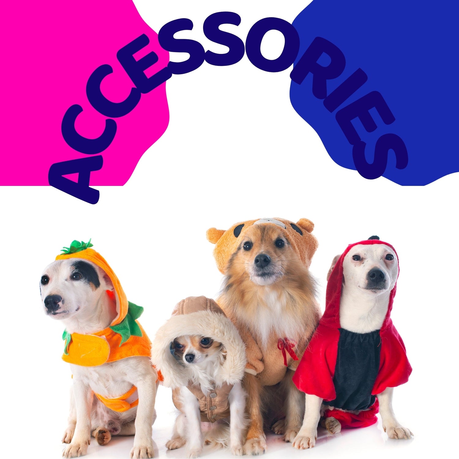 Pet Accessories and outfits