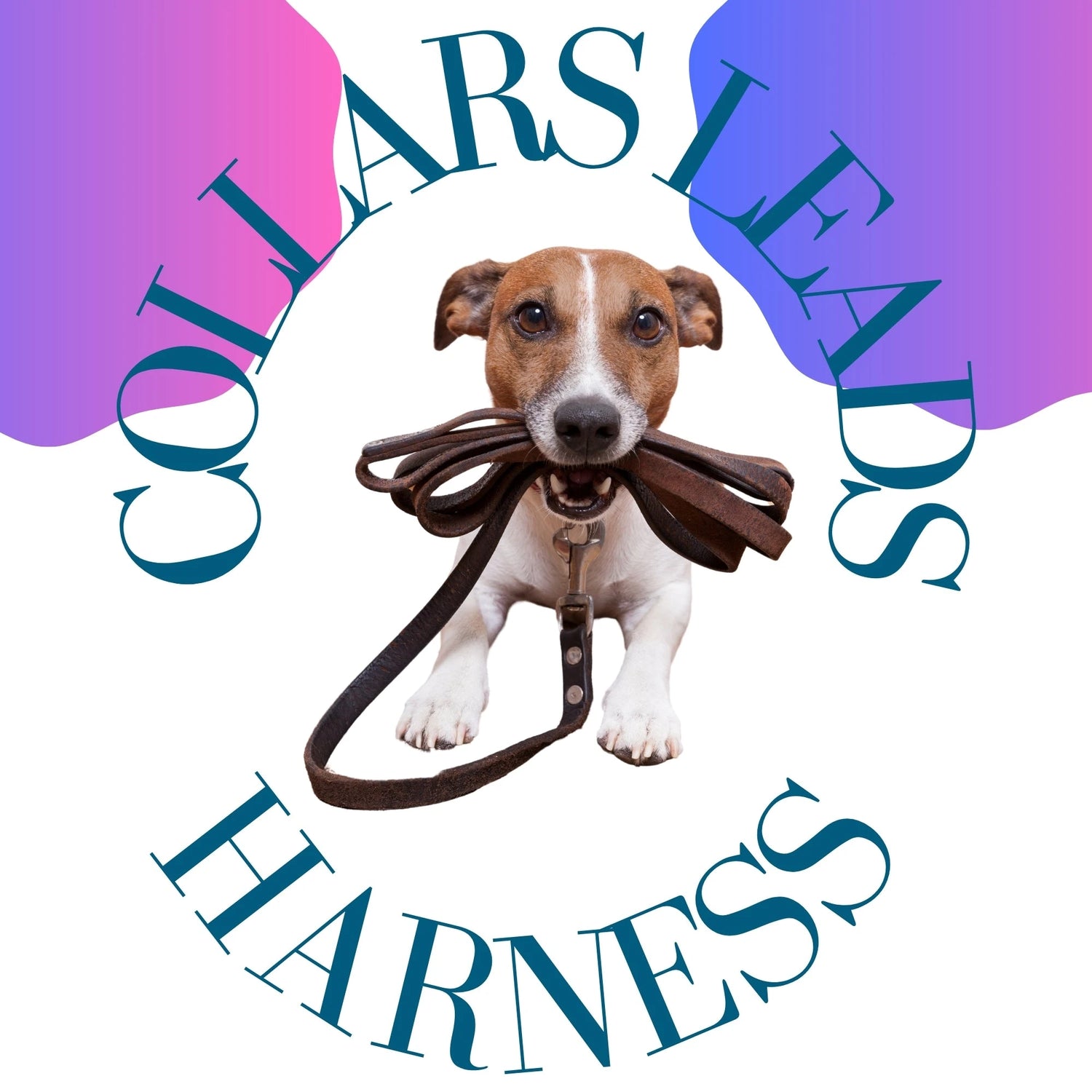 PET COLLARS, HARNESS & LEADS