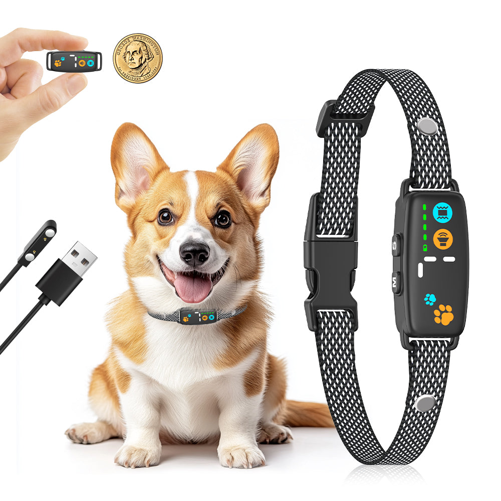Tiny anti-barking beep and vibrate no-shock collar for small dogs with adjustable sensitivity and USB recharge