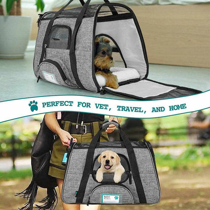 Airline Approved Pet Carrier for Cats and small dogs