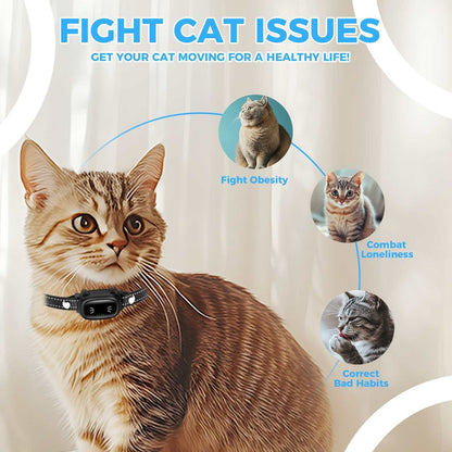 cat wearing advanced remote cat trainer collar to fight obesity, loneliness, and bad habits