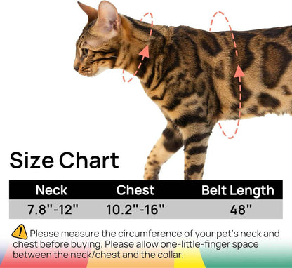 Cat harness and leash set size chart showing neck and chest measurements for fitting outdoors