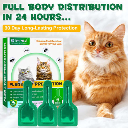 Flea and Tick Treatment for Cats, 6-month supply.