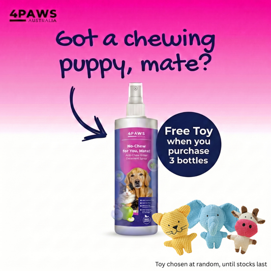 Bottle of No Chew for you, Mate! Anti-Chew Bitter Deterrent spray for cats and dogs preventing chewing behavior