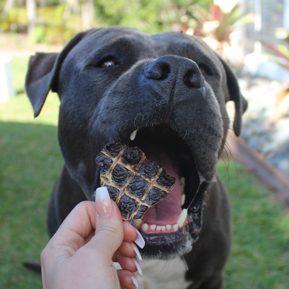 Dog enjoying beef liver training treat outdoors.