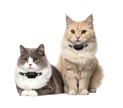 Two cats wearing collars with advanced remote cat trainer devices for behavior control and laser play