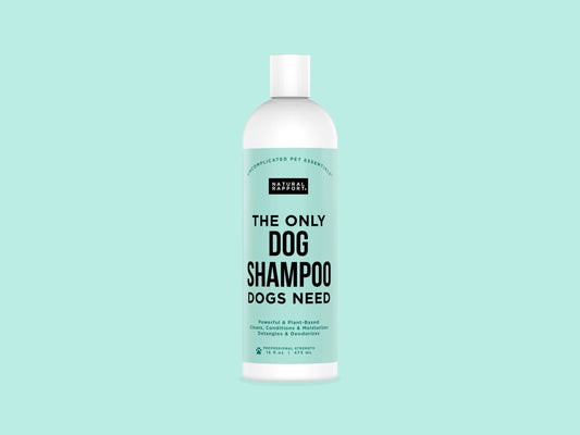 Dog Shampoo Dogs