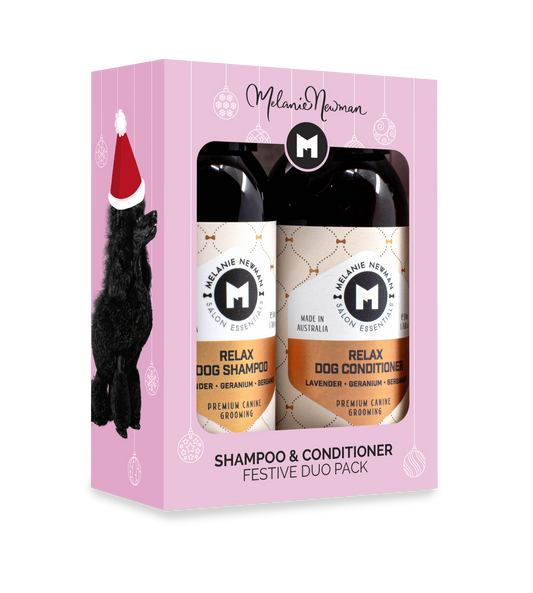 Melanie Newman Duo Sample Pack Shampoo and Conditioner in festive packaging.