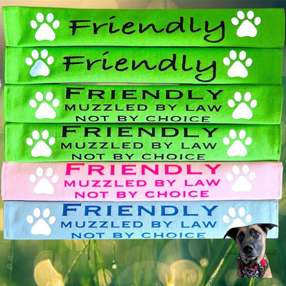 Reflective lead slips for dogs with "Friendly" and "Muzzled by law not by choice" text in green, pink, and blue, designed for safety and communication.