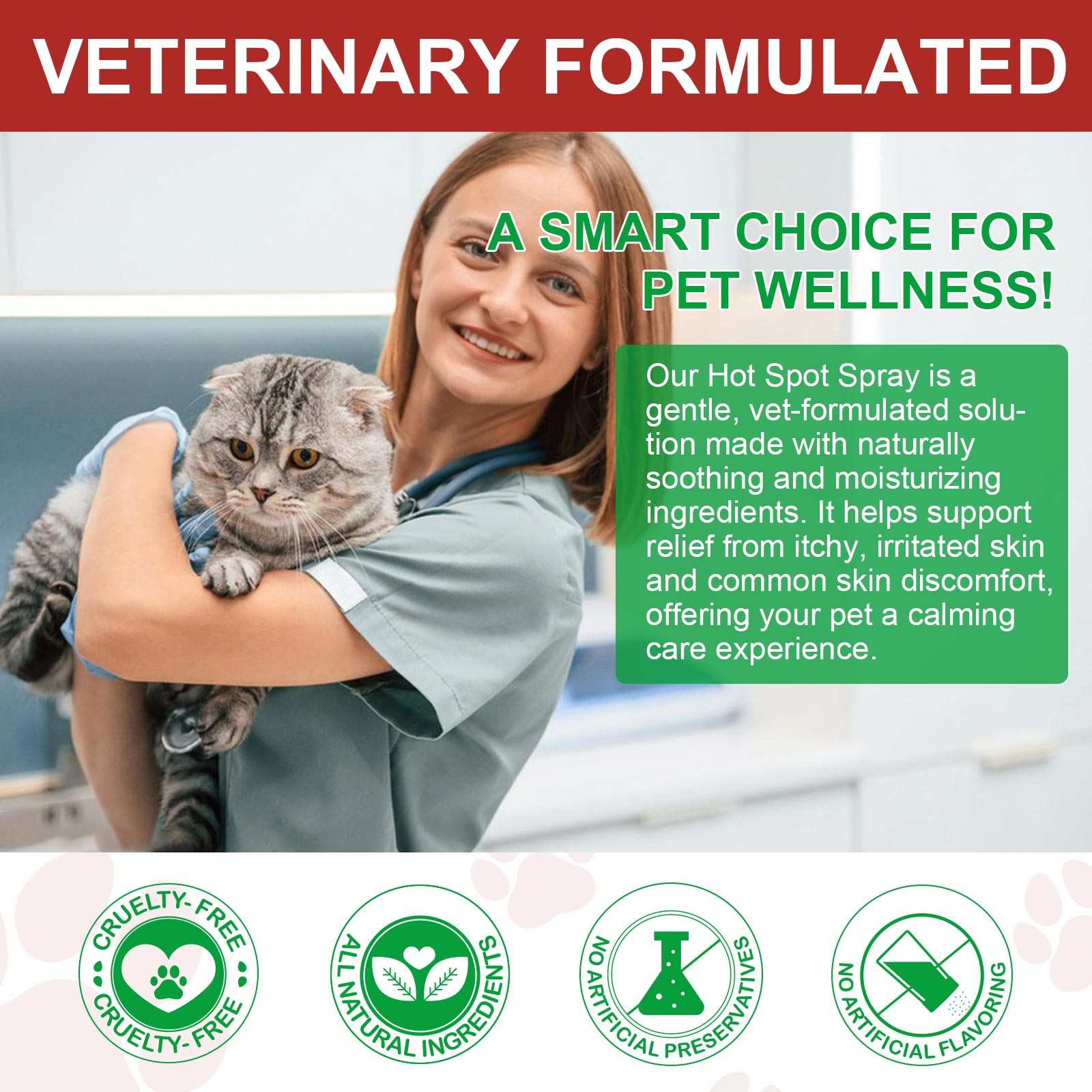Oimmal Hot Spot Relief Spray for cats with Aloe Vera and Quantum Silver, veterinary formulated for soothing itchy, irritated feline skin.