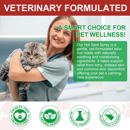 Oimmal Hot Spot Relief Spray for cats with Aloe Vera and Quantum Silver, veterinary formulated for soothing itchy, irritated feline skin.