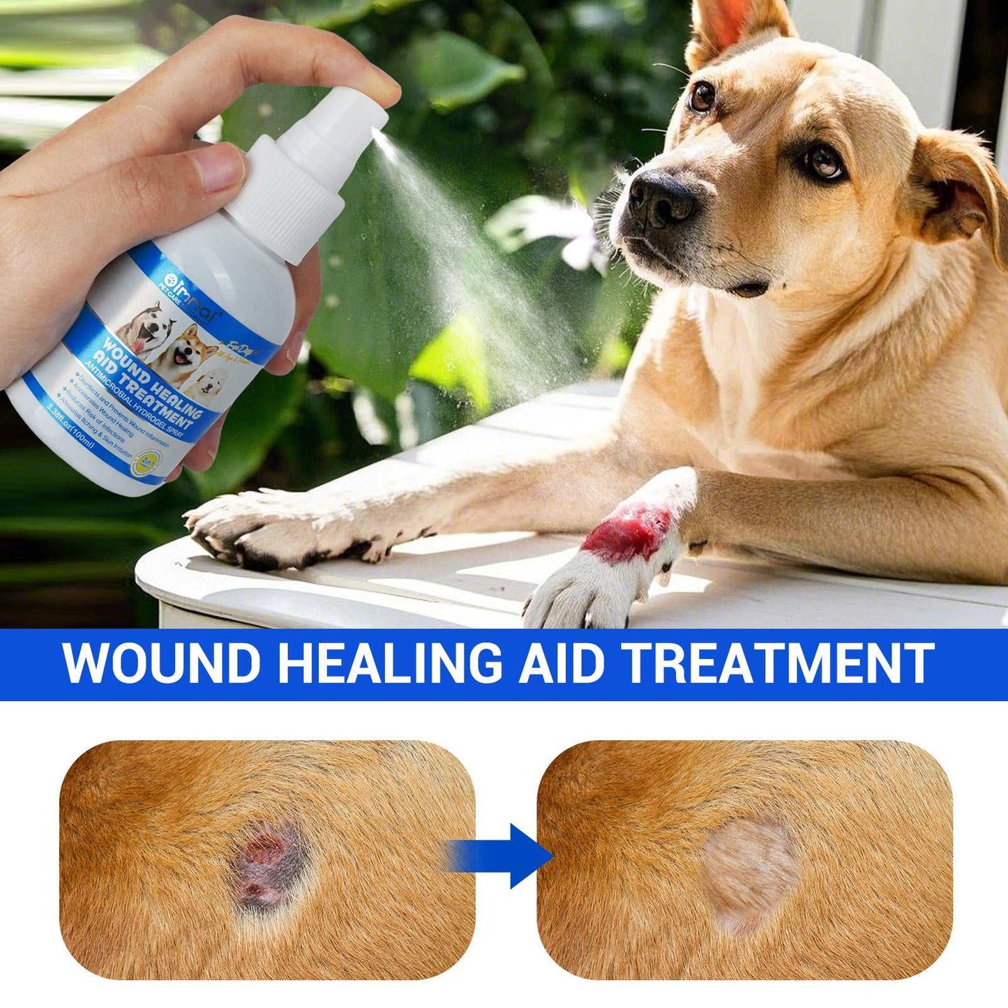Oimmal dog wound care spray being applied to injured dog paw with before and after healing images