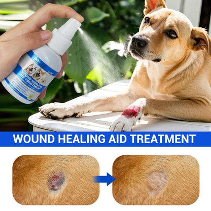 Oimmal dog wound care spray being applied to injured dog paw with before and after healing images