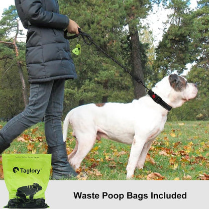 Single bungee rope dog lead with shock absorption and padded handle, includes free poop holder
