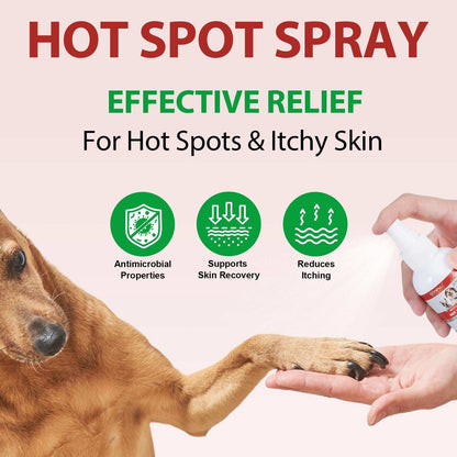 Oimmal Hot Spot Relief Spray for Dogs with Aloe Vera and Quantum Silver easing hot spots and itching on dog skin