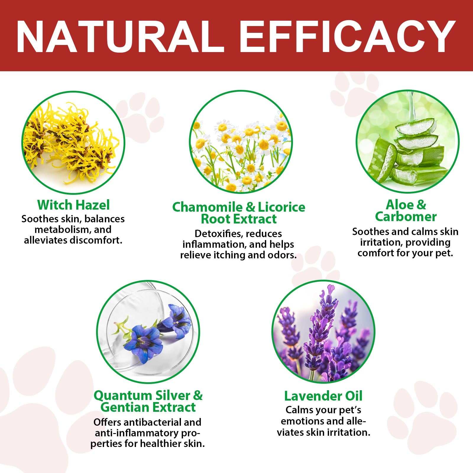 Oimmal Hot Spot Relief Spray for Dogs with Aloe Vera and Quantum Silver for soothing itchy, irritated skin and hot spots