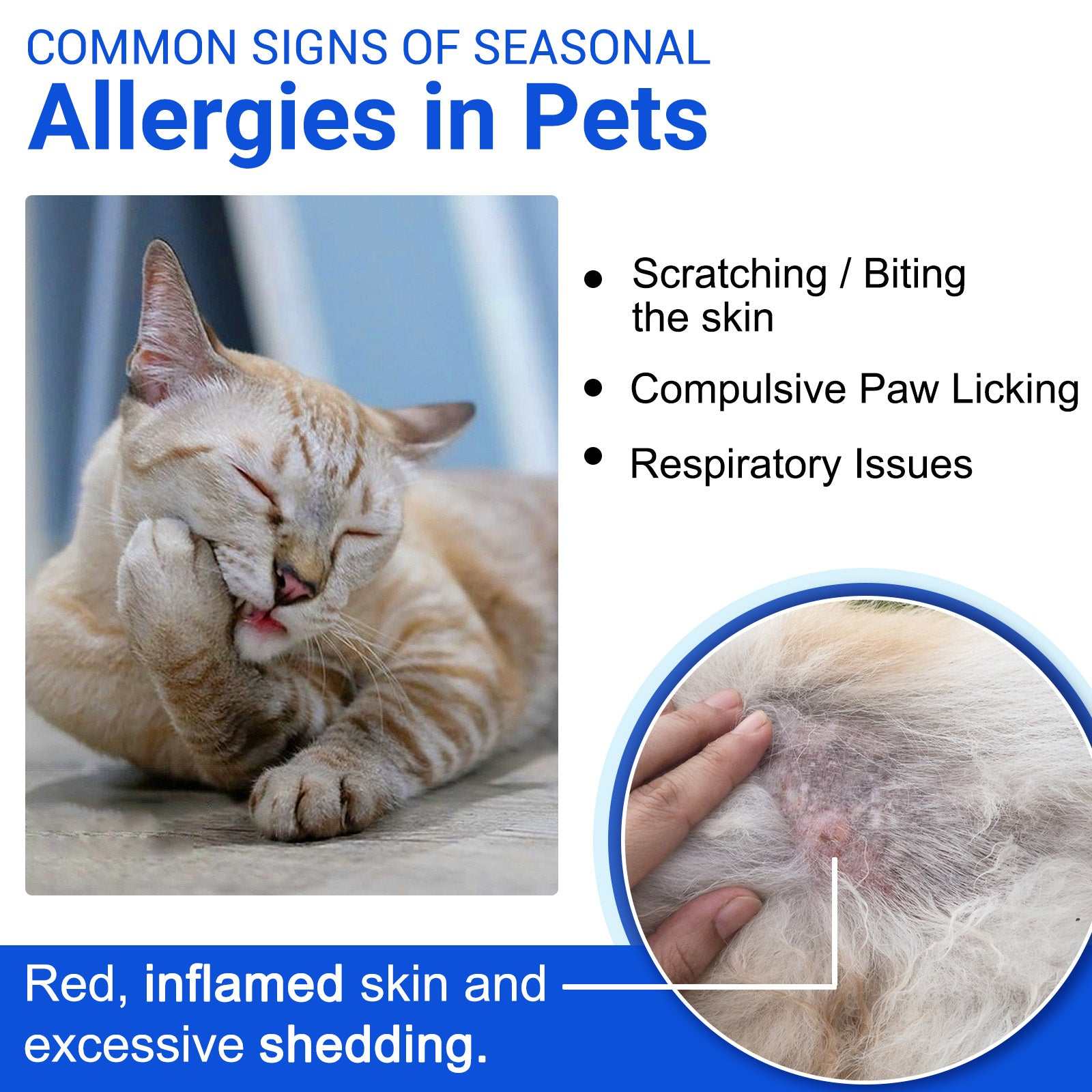 Oimmal Cat Wound Healing Aid antimicrobial hydrogel spray for cats with itchy, inflamed skin and wounds