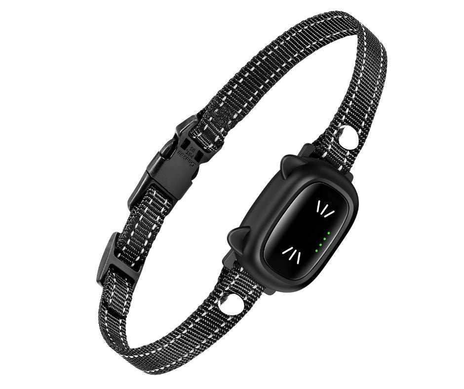 Black adjustable cat collar with advanced remote training device and LED indicator lights