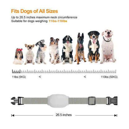 T200 Remote Training Collar adjustable waterproof anti-bark collar for dogs 11 to 110 lbs and up to 26.5 inch neck circumference
