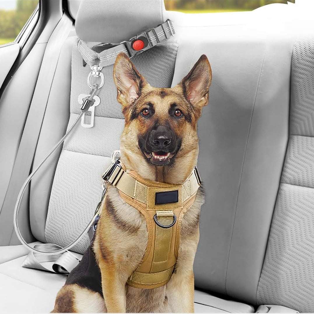 Single chew proof dog seatbelt with reinforced steel wire, reflective strap, lockable buckle, and shock-absorbing buffer for pet safety in vehicles