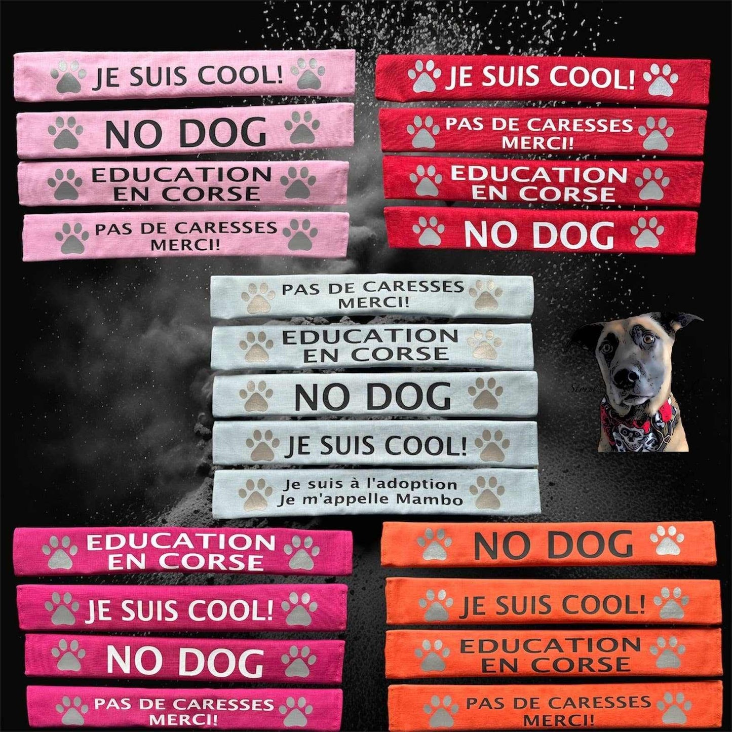 Reflective lead slips for dogs with messages like "No Dog," "Je Suis Cool," and "Education en Corse" in various colors for training and safety.