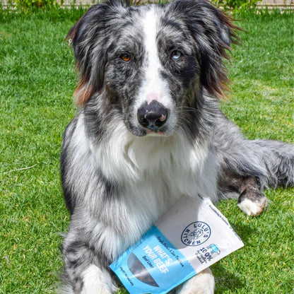 Dog with a bag of "What's Your Beef? - Beef Liver" treats on grass.