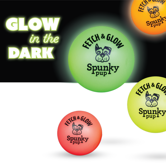 Glow in the dark Fetch and Glow ball dog toy in neon colors by Spunky Pup, available in sizes large, medium, and small.