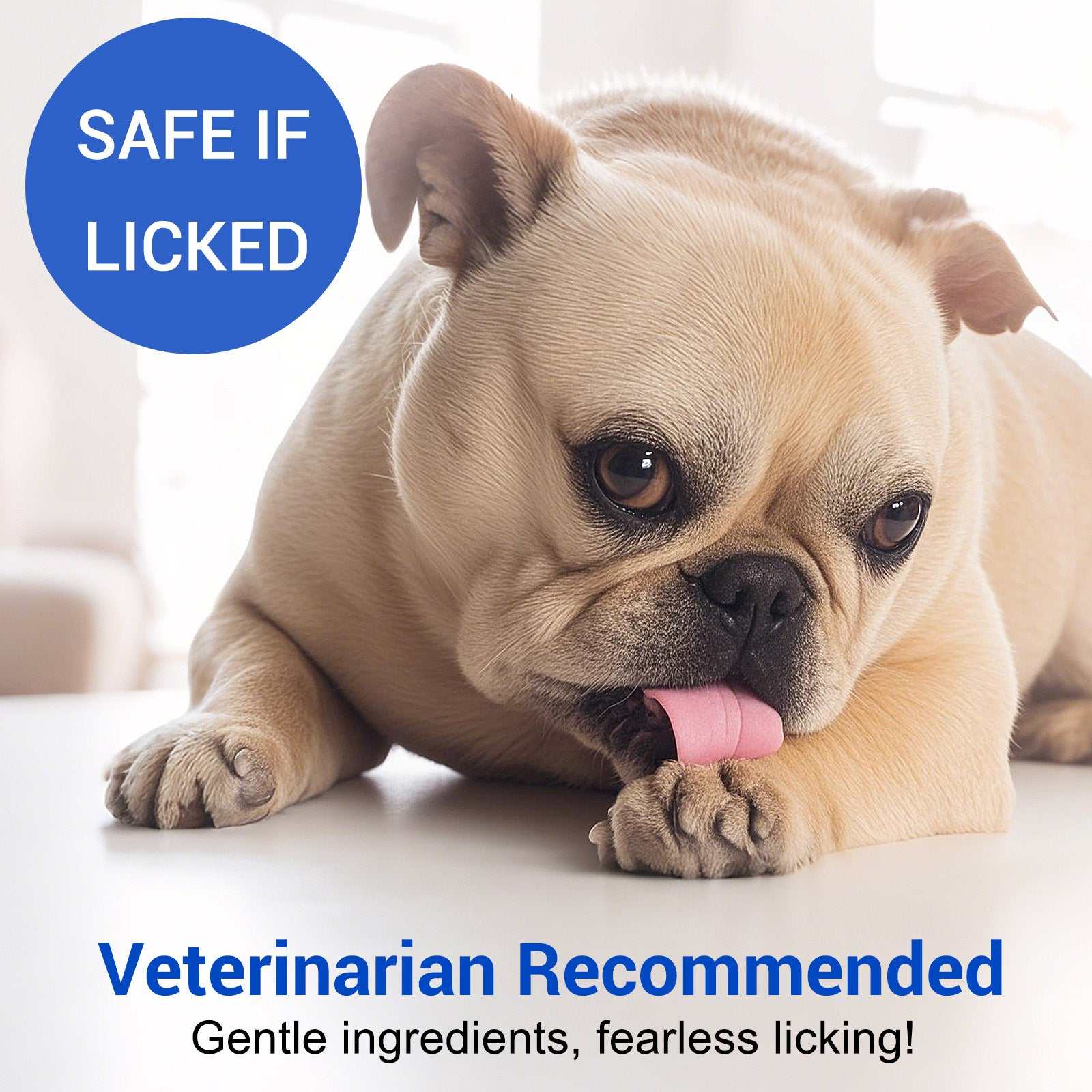Dog wound care antimicrobial hydrogel spray safe if licked, vet recommended for soothing and healing pets
