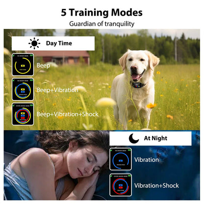 Smart automatic bark control dog collar B630 Plus with USB-C rechargeable and adjustable strap