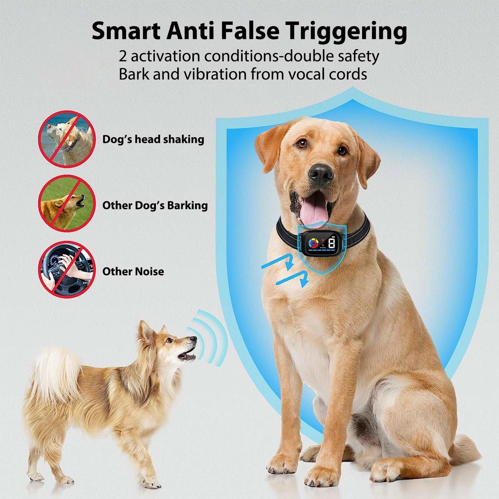 Automatic anti-bark dog collar on a golden retriever with smart false triggering protection