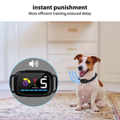 Automatic Anti-Bark Dog Collar B630 with adjustable sensitivity and Type-C rechargeable battery shown on a dog indoors
