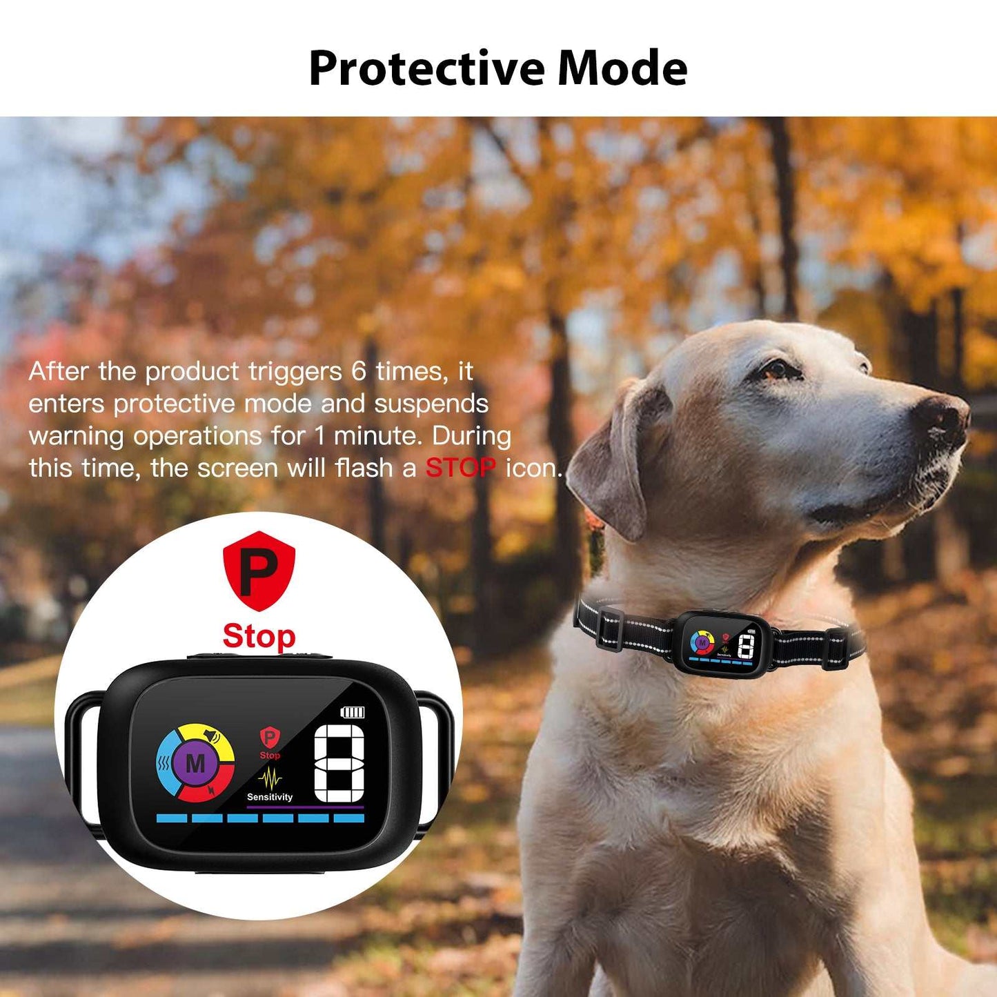Automatic Anti-Bark Dog Collar with adjustable sensitivity and protective mode on a dog outdoors