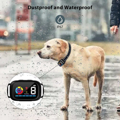 Automatic anti-bark dog collar with IP67 waterproof rating on a dog in rain