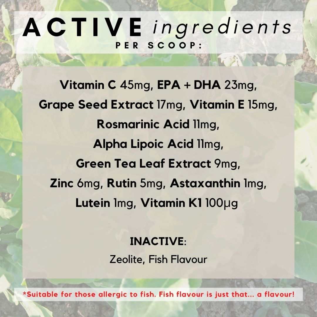 PetzPark Eye Support for Cats powder with antioxidants and vitamins to promote feline eye health and deter cataracts.