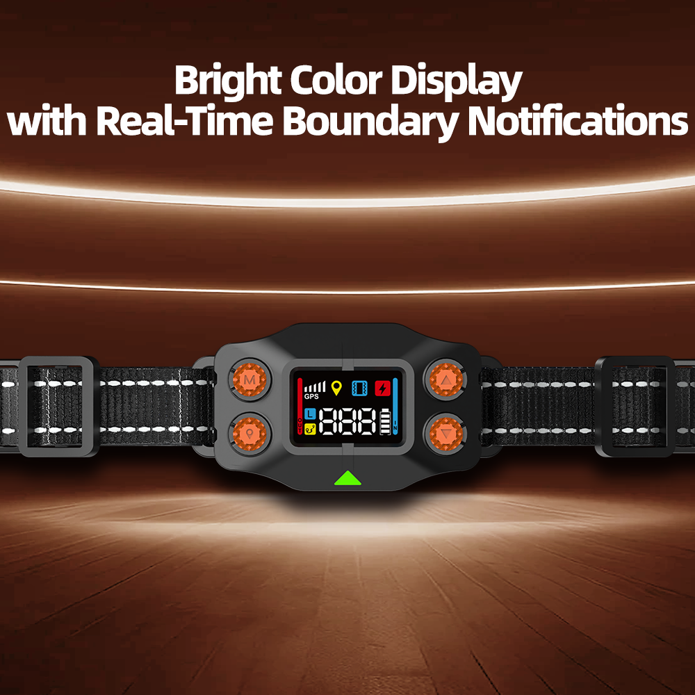 F830 GPS Wireless Dog Fence collar with bright color display and real-time boundary notifications